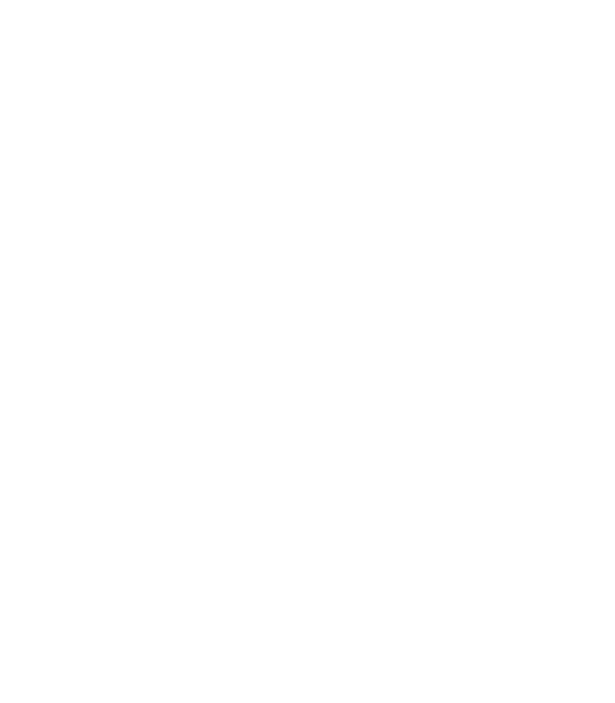 M NEGRIJN